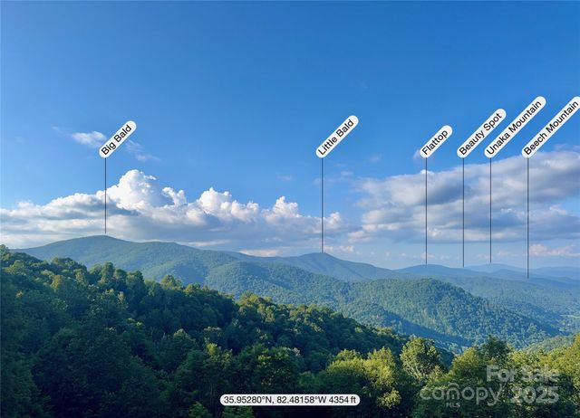 197 Cherry Knob Drive, Mars Hill, NC 28754