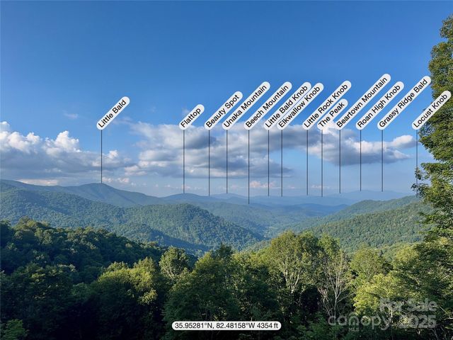 197 Cherry Knob Drive, Mars Hill, NC 28754