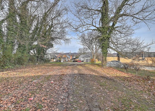 1703 Windsor Avenue, Bristol, TN 37620