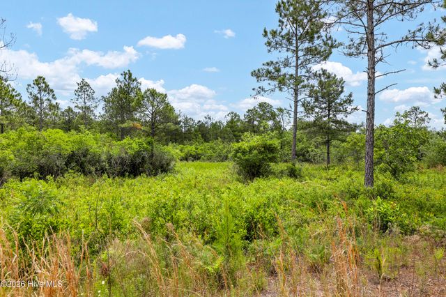 244 Pilchers Branch Road, Holly Ridge, NC 28445