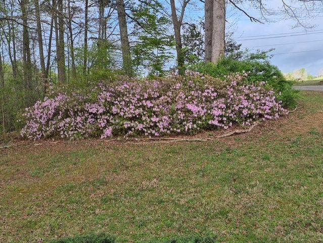 592 Kay Drive, Easley, SC 29640