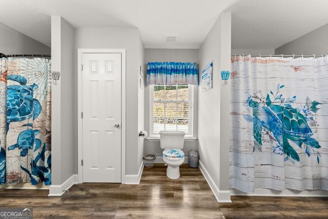 136 Gold Ditch Road, Cleveland, GA 30528