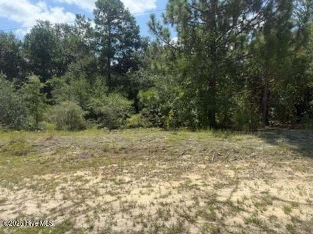 Tbd Hatley Street, Aberdeen, NC 28315