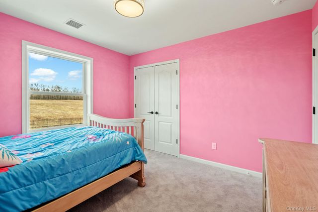 10 Harrier Ridge Drive, Wallkill, NY 12589