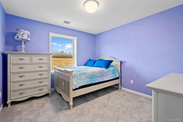 10 Harrier Ridge Drive, Wallkill, NY 12589