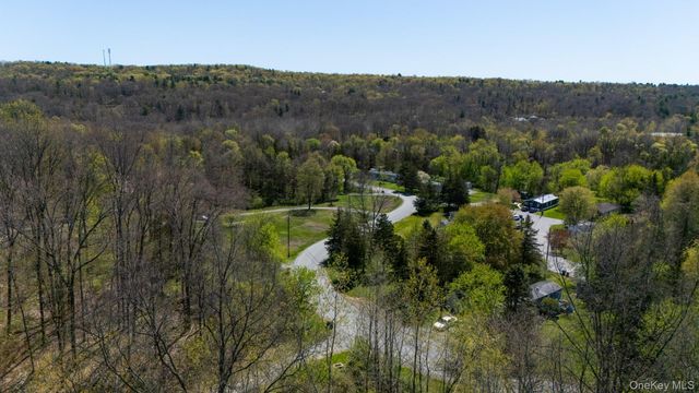55 Old Ohalloran Circle, Pleasant Valley, NY 12569