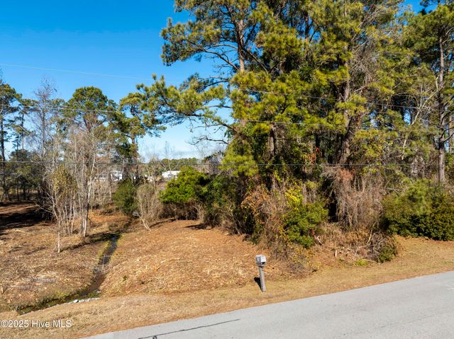 327 Chadwick Shores Drive, Sneads Ferry, NC 28460