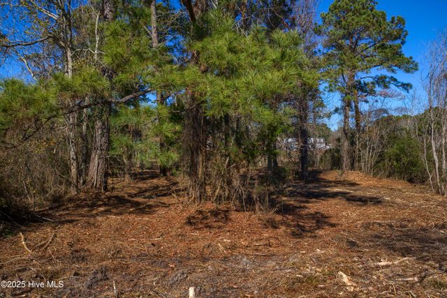 327 Chadwick Shores Drive, Sneads Ferry, NC 28460