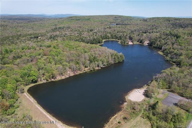 172 Eagles Ridge Way, Parksville, NY 12768