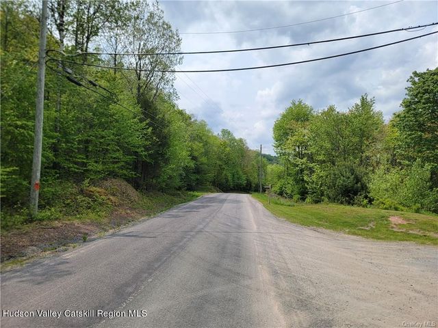 172 Eagles Ridge Way, Parksville, NY 12768