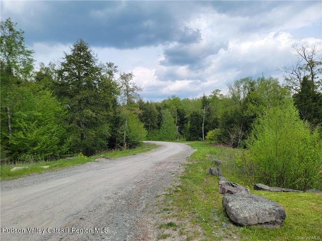 172 Eagles Ridge Way, Parksville, NY 12768