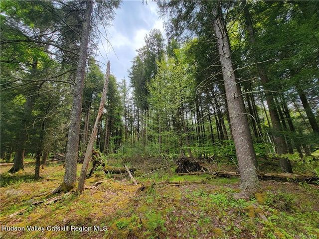 172 Eagles Ridge Way, Parksville, NY 12768