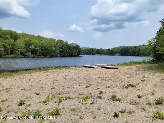 172 Eagles Ridge Way, Parksville, NY 12768