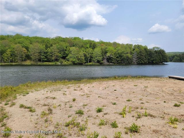 172 Eagles Ridge Way, Parksville, NY 12768