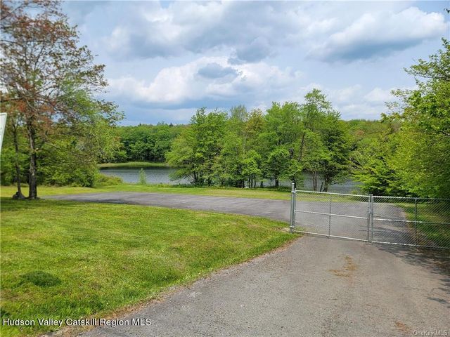 172 Eagles Ridge Way, Parksville, NY 12768