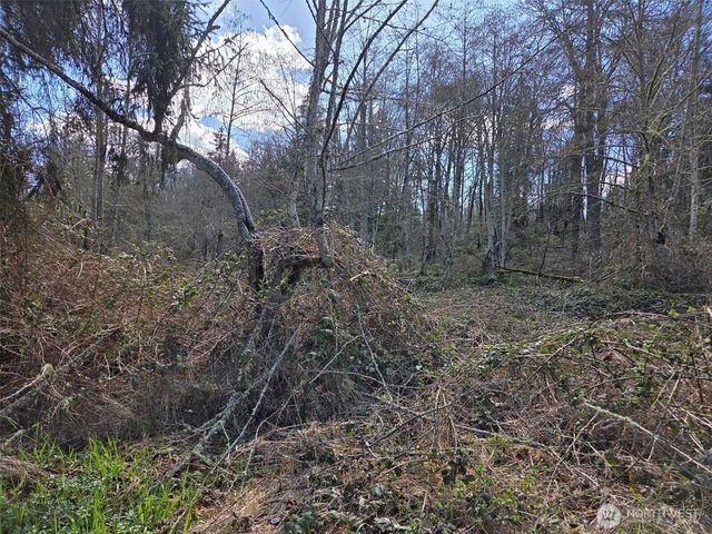 18599 SE 136th St, Renton, WA 98059