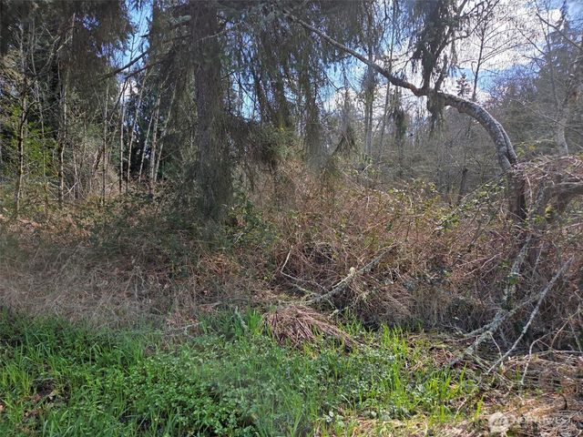 18599 SE 136th St, Renton, WA 98059