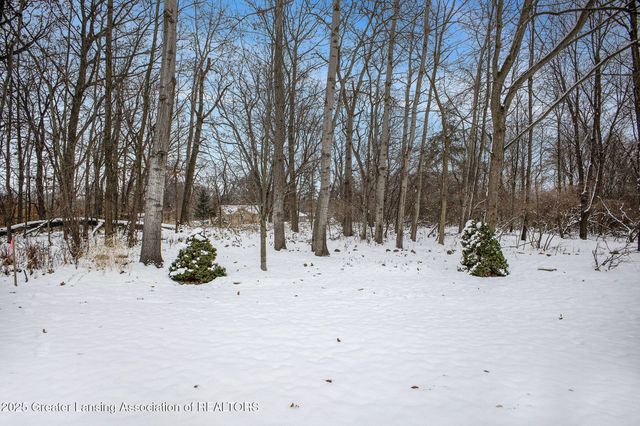 2505 Arbor Forest Drive 11, Lansing, MI 48910