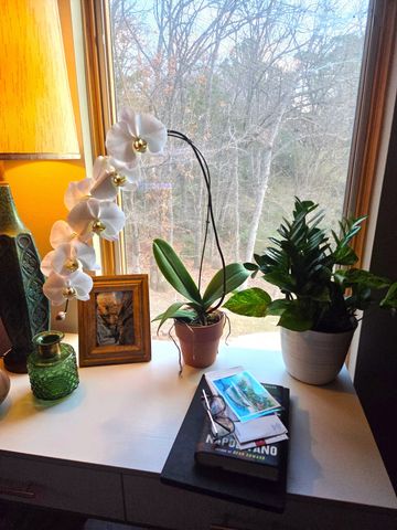 831 S French Avenue 1, Denison, TX 75020