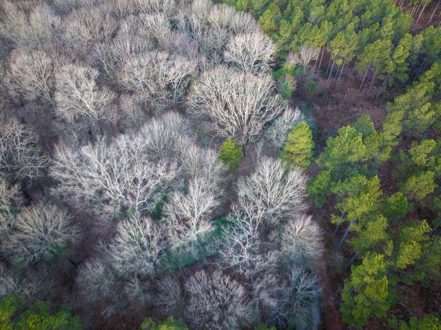 T-4 Cr 4302, De Kalb, TX 75559