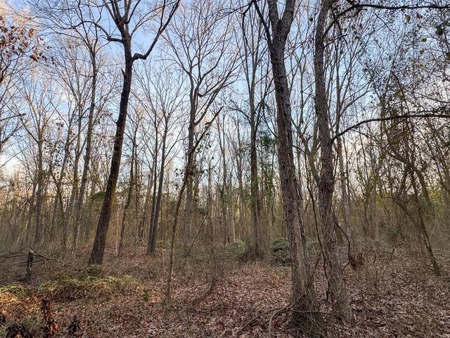 T-4 Cr 4302, De Kalb, TX 75559