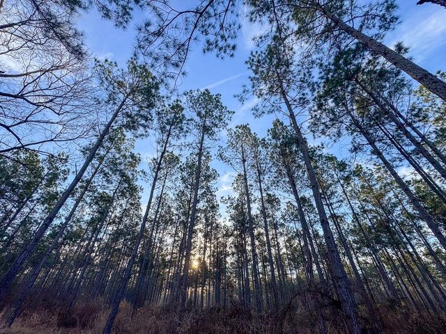 T-4 Cr 4302, De Kalb, TX 75559