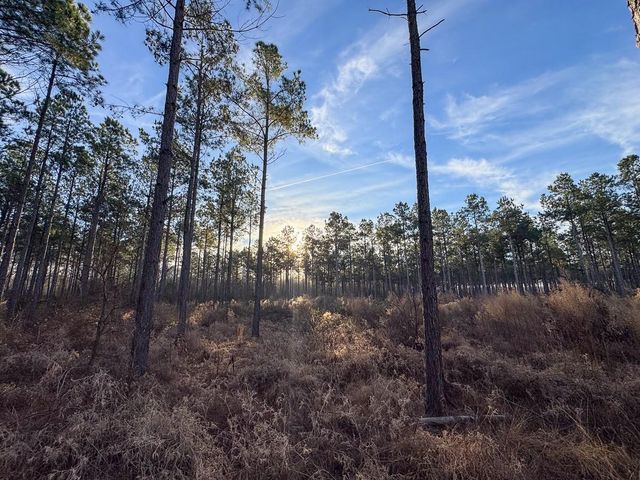 T-4 Cr 4302, De Kalb, TX 75559