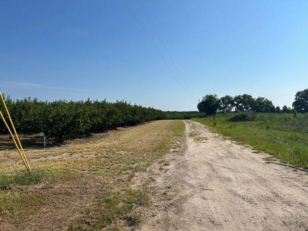 0 Tillman Street, Trenton, SC 29847
