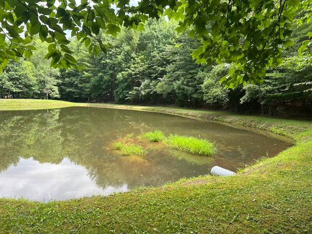 0 Music RD, Floyd, VA 24091