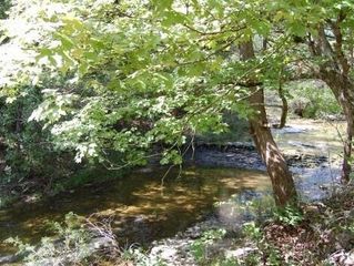 500 Campbell Road, Forsyth, MO 65653