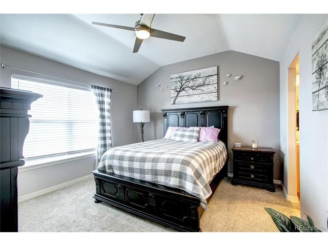 563 Lost Valley Pt, Castle Rock, CO 80108