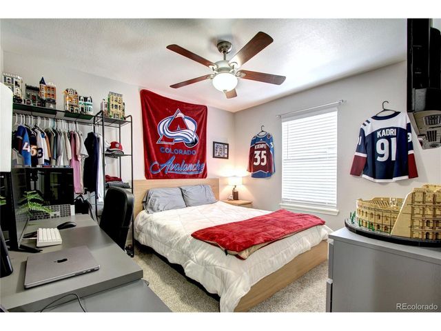 563 Lost Valley Pt, Castle Rock, CO 80108