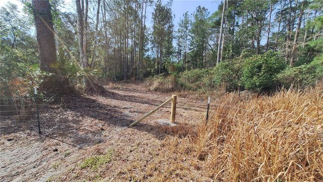 14850 NE 159TH PLACE, Fort Mc Coy, FL 32134