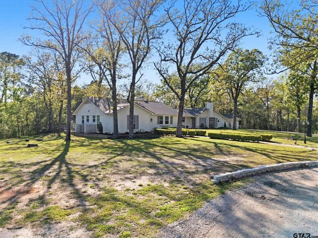 14156 County Road 193, Tyler, TX 75703