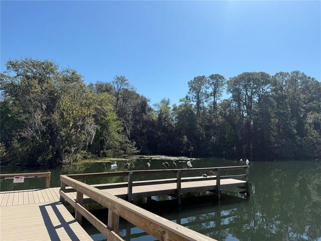 1127 BELMONT CIRCLE, Tavares, FL 32778
