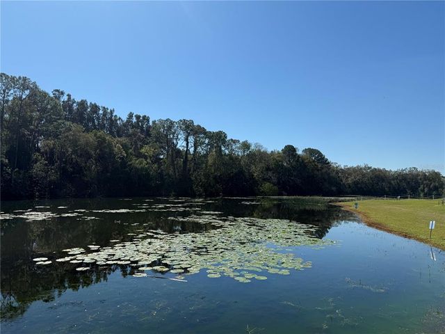 1127 BELMONT CIRCLE, Tavares, FL 32778