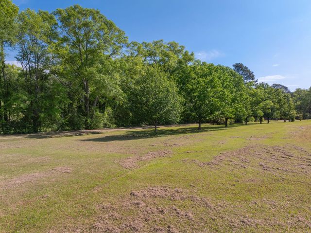 4684 Old Hwy 11, Purvis, MS 39475