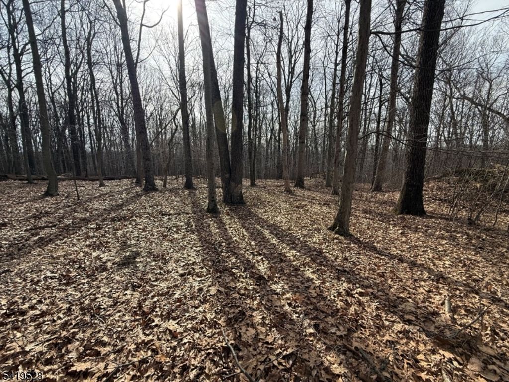 164 North Rd, Chester Twp., NJ 07930 — exterior