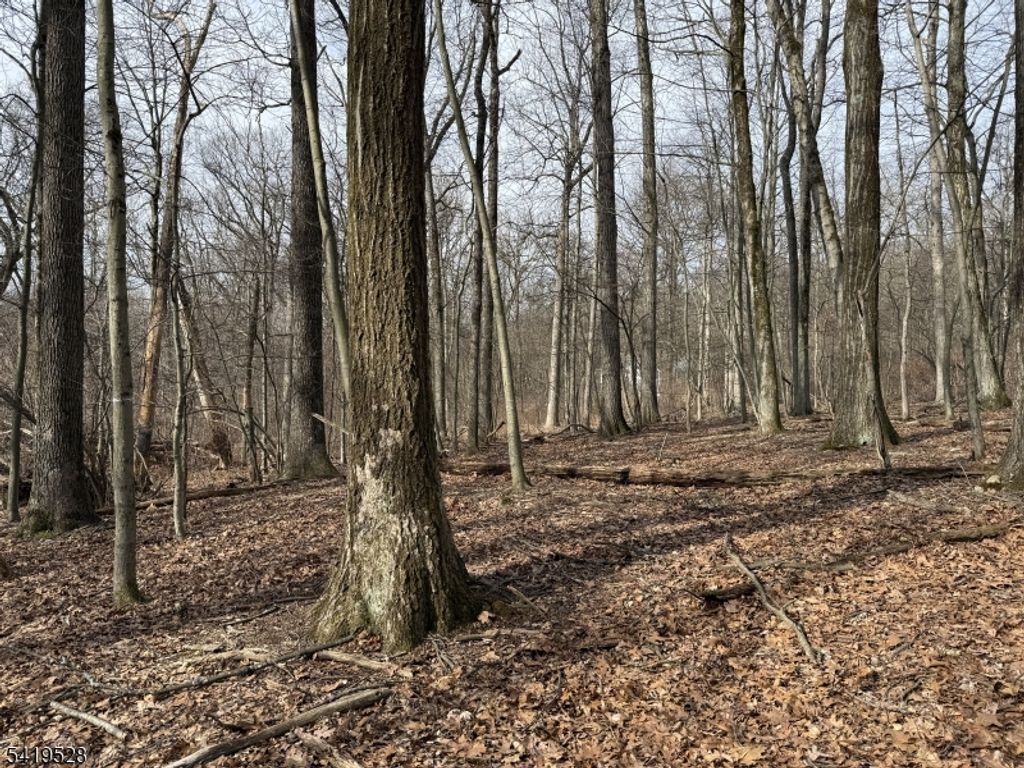 164 North Rd, Chester Twp., NJ 07930 — photo 2