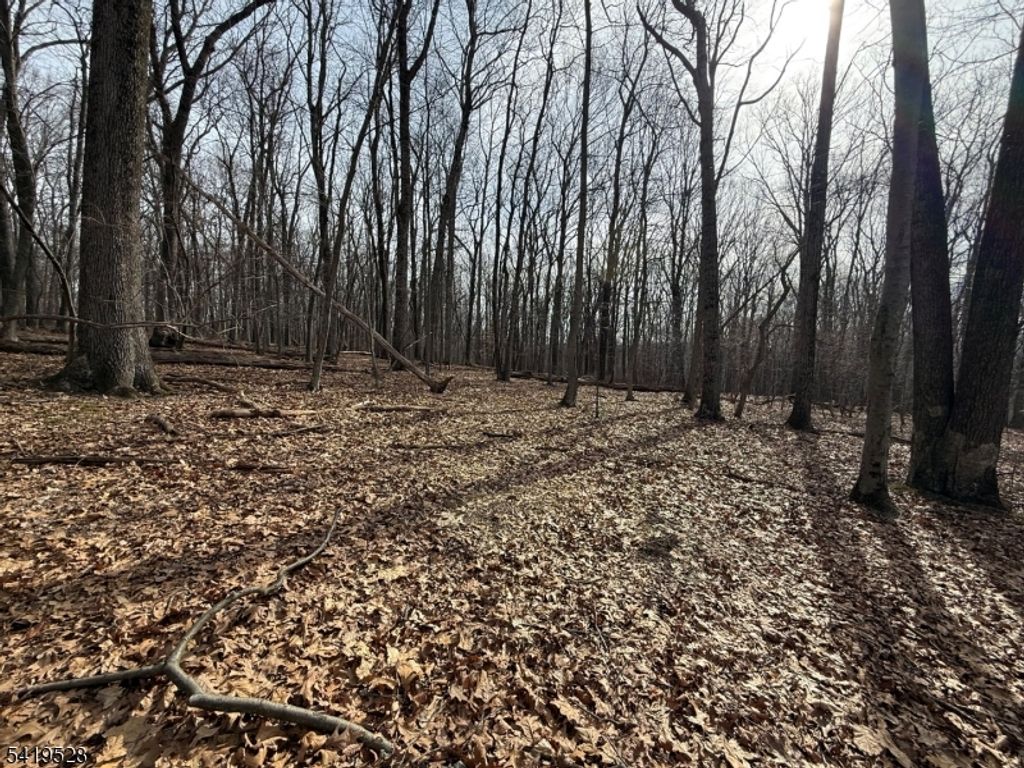 164 North Rd, Chester Twp., NJ 07930 — photo 3
