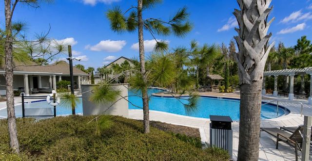 32935 KALOKO ROAD, Wesley Chapel, FL 33543