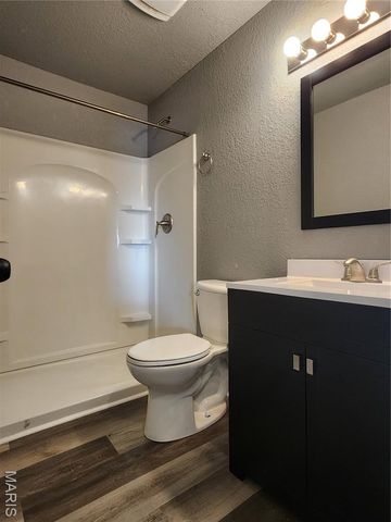 99 Ripley 142e-24, Doniphan, MO 63935