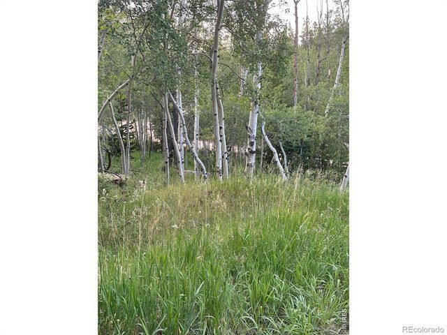 401 Blackfoot Road, Red Feather Lakes, CO 80545