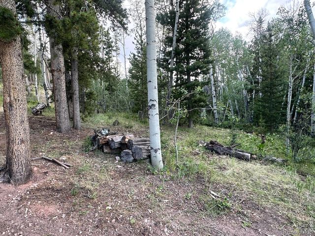 401 Blackfoot Road, Red Feather Lakes, CO 80545