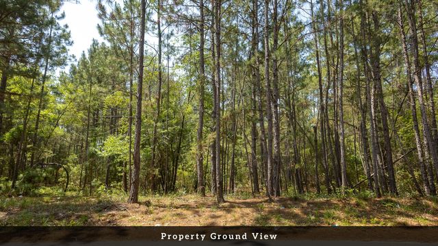 4 Broken Arrow Rd, Eutawville, SC 29048