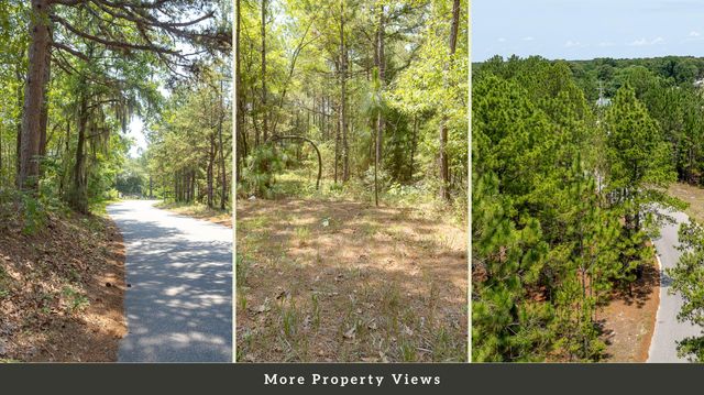 4 Broken Arrow Rd, Eutawville, SC 29048