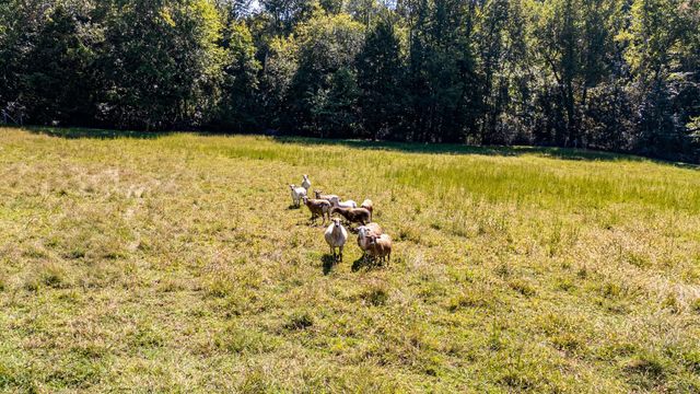 1112 Tennessee 305, Athens, TN 37303