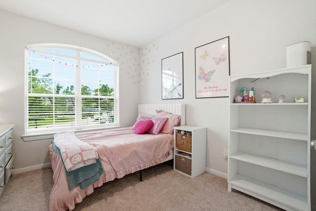 526 Cotton Patch Drive, Willis, TX 77318