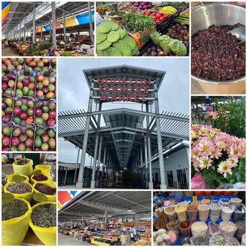 907 Kern Street B, Houston, TX 77009