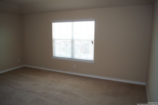 1623 Tree, San Antonio, TX 78245